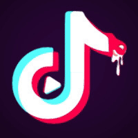 成人tiktok
